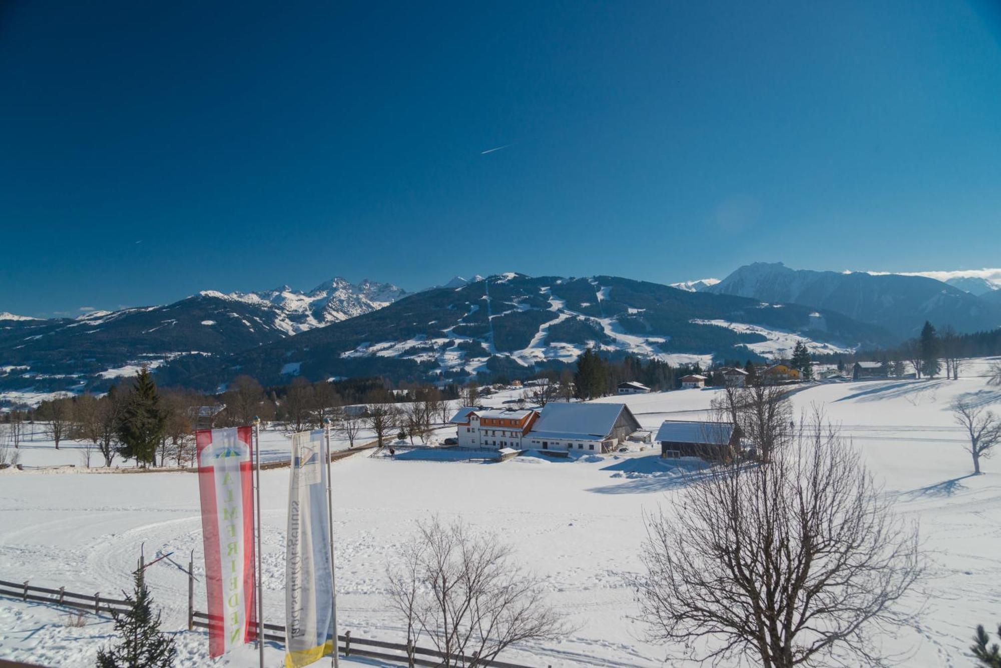 Almfrieden Hotel & Romantikchalet ラムサウ・アム・ダッハシュタイン エクステリア 写真